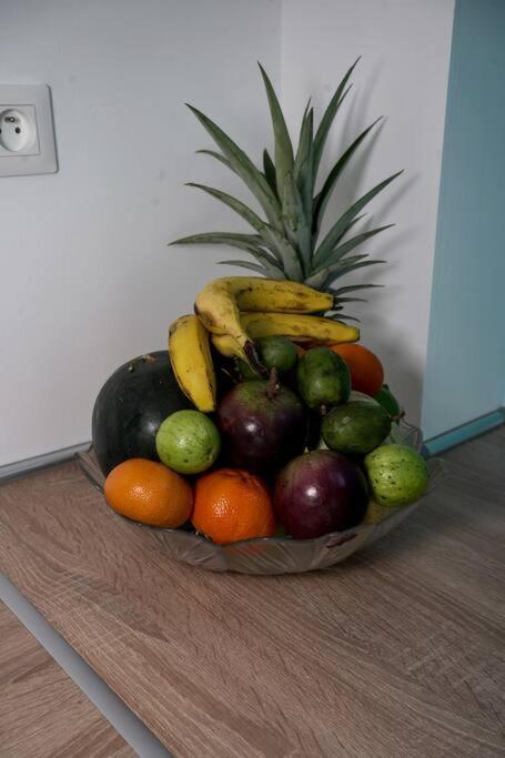 Le Marie-Agnes Appartement Neuf De Standing Fort-de-France Dış mekan fotoğraf
