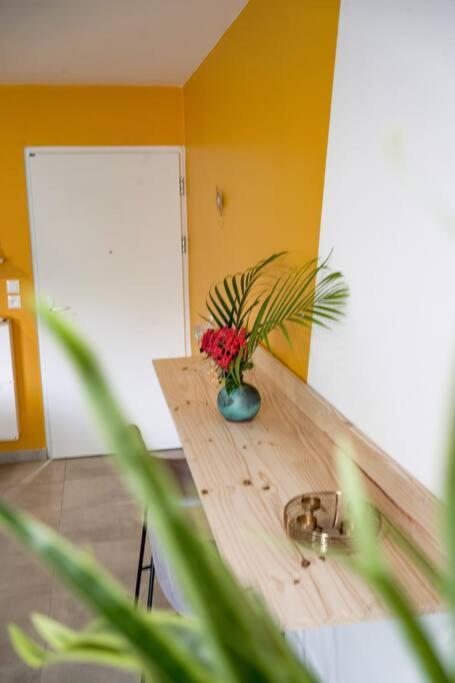 Le Marie-Agnes Appartement Neuf De Standing Fort-de-France Dış mekan fotoğraf